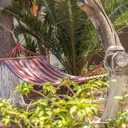 Castle's Nest 2 Apartment